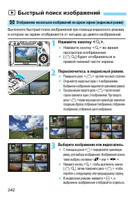 Страница 242