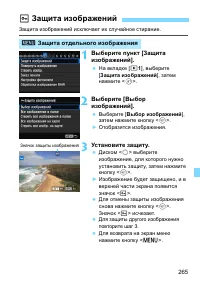 Страница 265