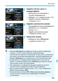 Страница 291