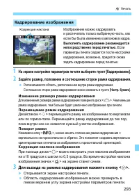 Страница 293