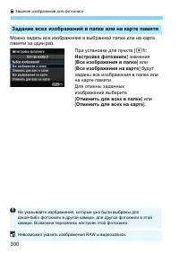 Страница 300