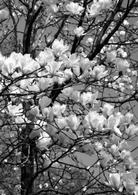 Страница 106