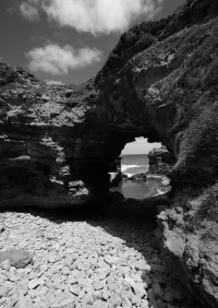 Страница 198