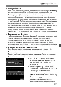 Страница 217