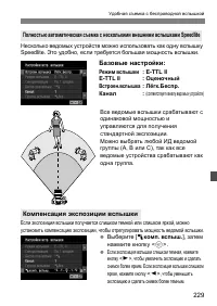 Страница 229
