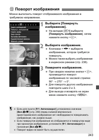 Страница 243