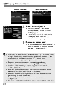 Страница 256