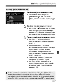 Страница 257