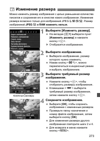 Страница 273