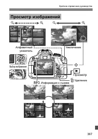 Страница 367