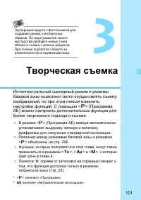 Страница 101