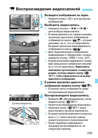 Страница 239