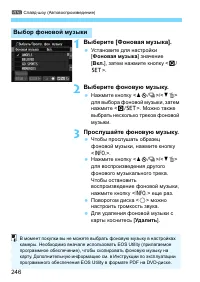 Страница 246