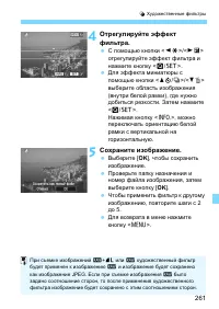 Страница 261