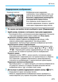 Страница 273