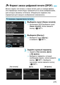 Страница 275