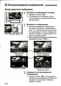 Страница 116