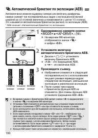 Страница 100