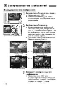 Страница 116