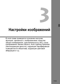 Страница 113