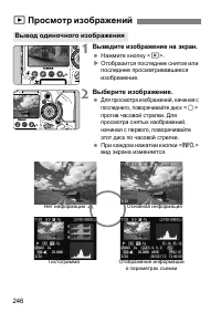 Страница 246