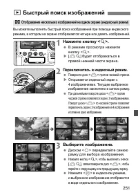 Страница 251