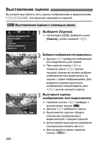 Страница 256