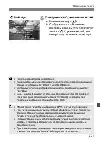 Страница 301