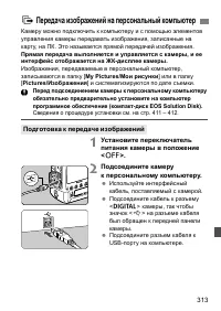 Страница 313