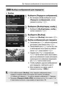 Страница 315