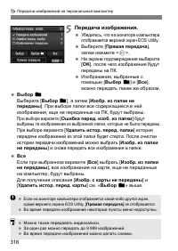 Страница 316