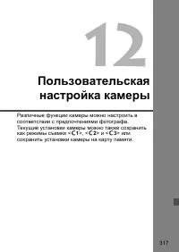 Страница 317