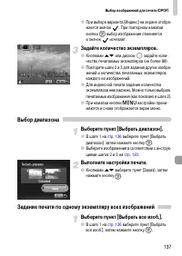 Страница 137