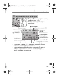 Страница 243
