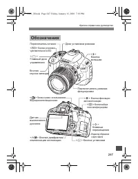 Страница 245