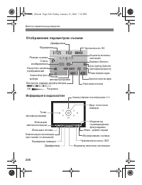 Страница 246
