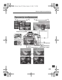 Страница 253