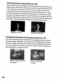 Страница 184