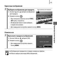 Страница 175