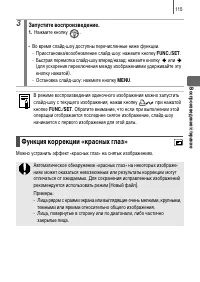 Страница 117