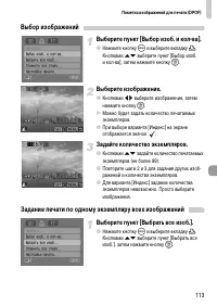 Страница 113