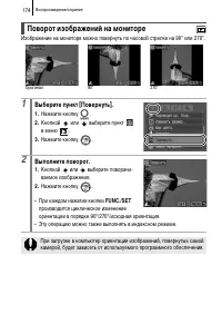 Страница 176