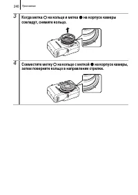 Страница 242