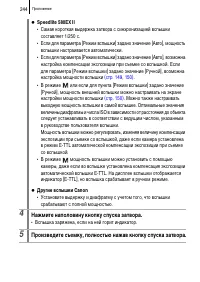 Страница 246