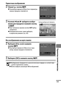 Страница 117
