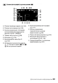 Страница 181