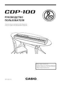 Casio CDP-100 