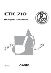 Casio CTK-710 