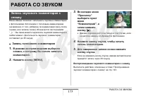 Страница 173