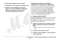 Страница 245